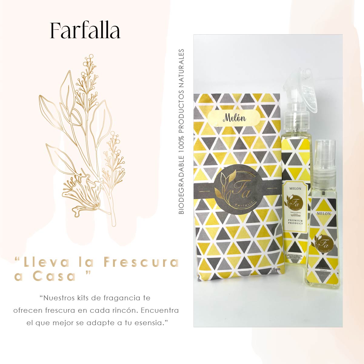 Coleccion de sachets farfalla